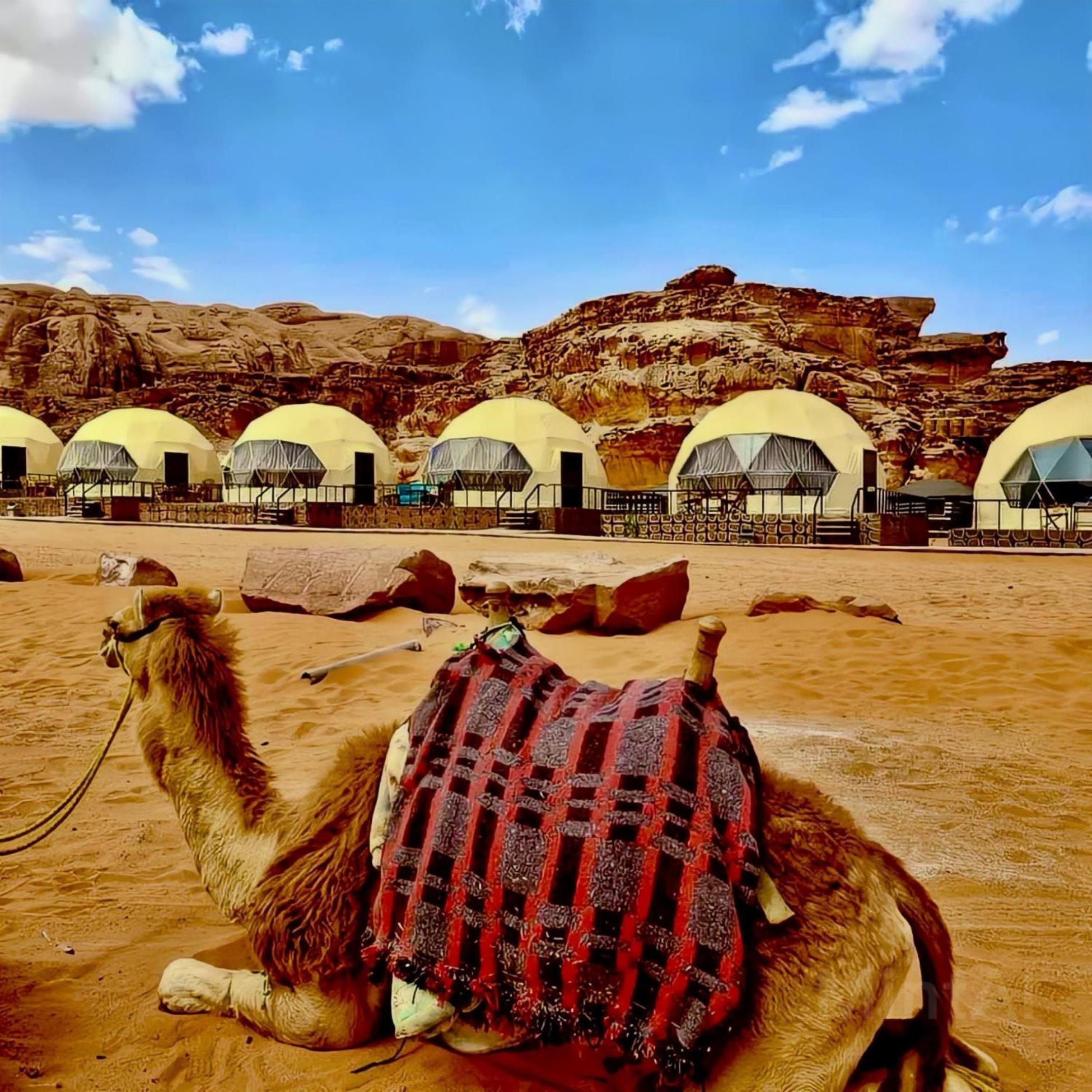 Wadi Rum Starlight Camp Otel Dış mekan fotoğraf